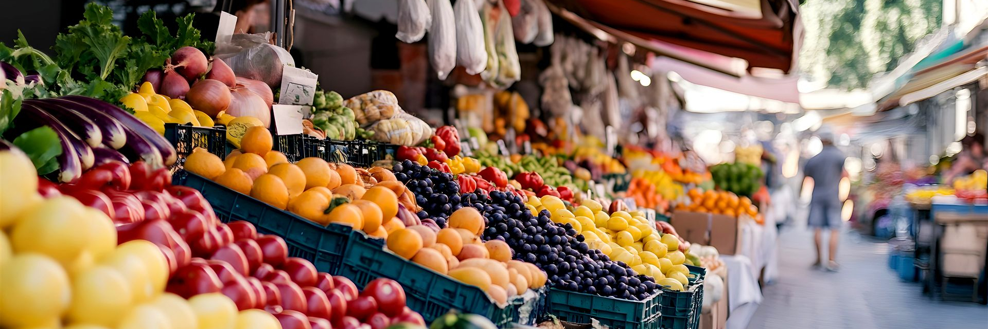 startseite-eyecatcher